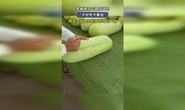 西瓜吃瓜免费试吃,免费试吃，夏日清凉新体验！